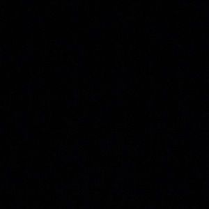 Meet your Posher, Carson